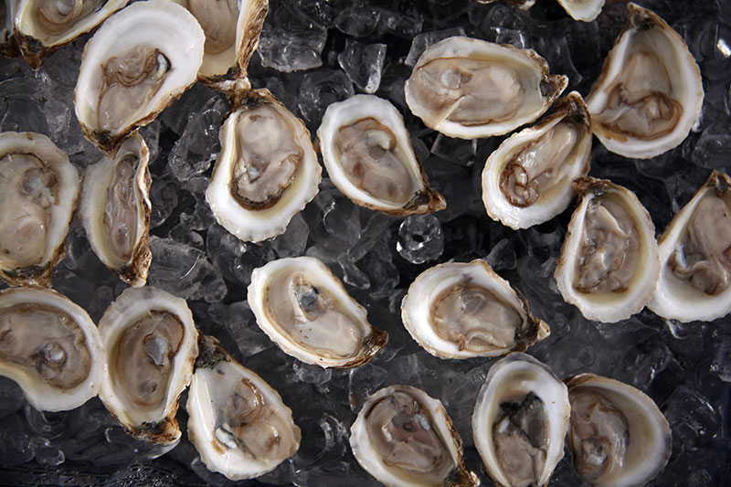 Oysters on Half Shell